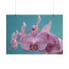 Purple Orchid  Poster