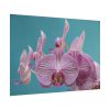 Purple Orchid  Poster