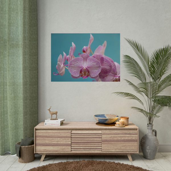 Purple Orchid  Poster
