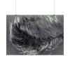 92409-1308.jpg Bird Feather Poster