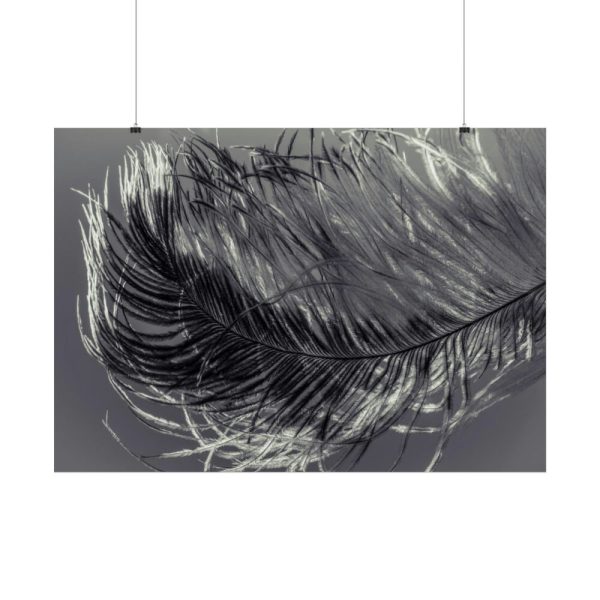 92409-1308.jpg Bird Feather Poster