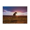 92409-132.jpg Free Dog at Sunset Poster