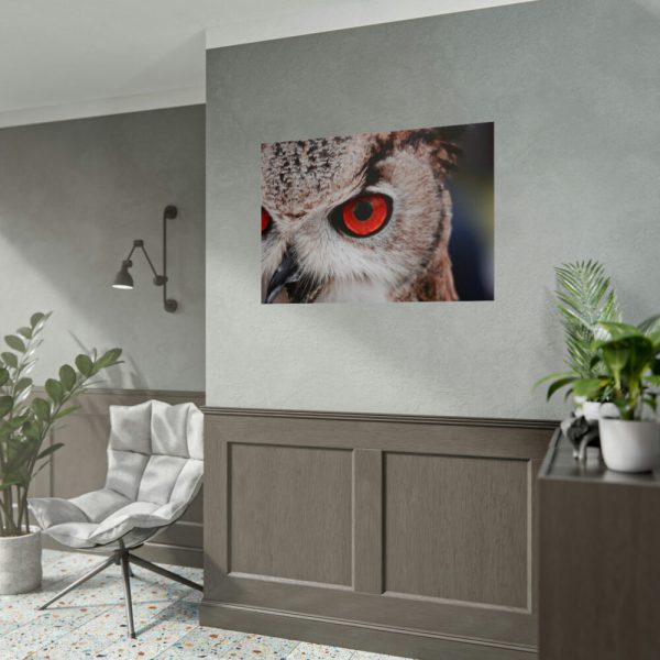 92409-1321.jpg Eye of Owl Poster