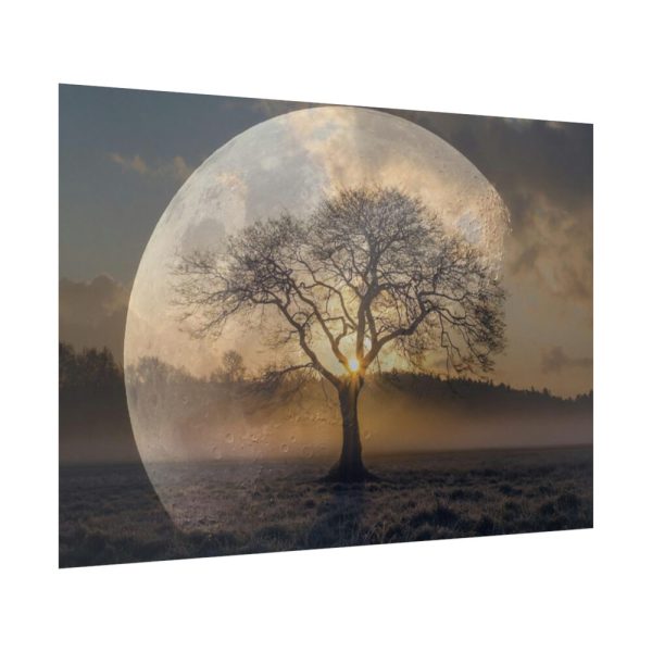 Moon Tree Atmosphere Poster