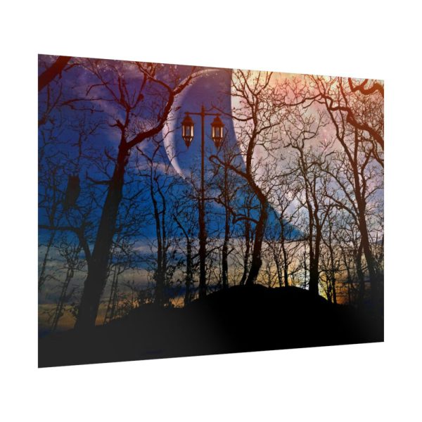 92409-1344.jpg Full Moon and Forest Night Darkness Poster