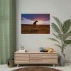 92409-135.jpg Free Dog at Sunset Poster