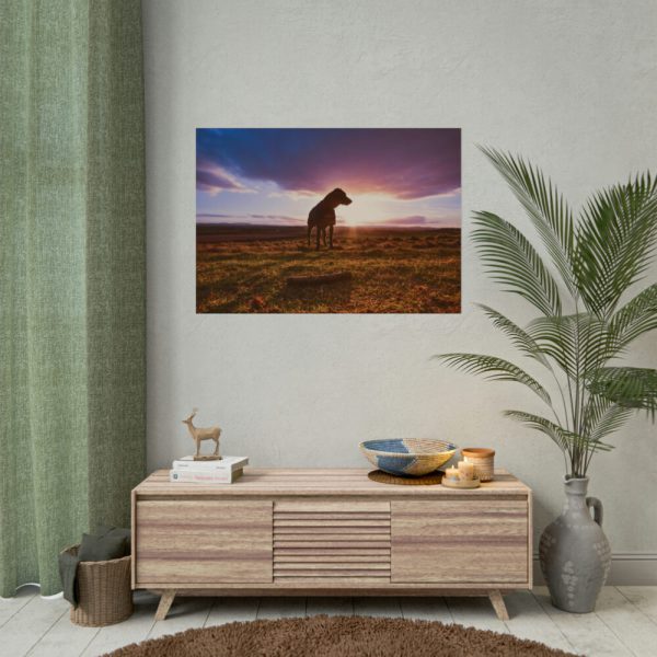 92409-135.jpg Free Dog at Sunset Poster