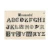 92409-1367.jpg Draughtsman's Alphabets by Hermann Esser Poster