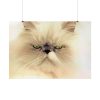92409-138.jpg Angry Persian Cat Poster