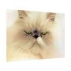 92409-139.jpg Angry Persian Cat Poster