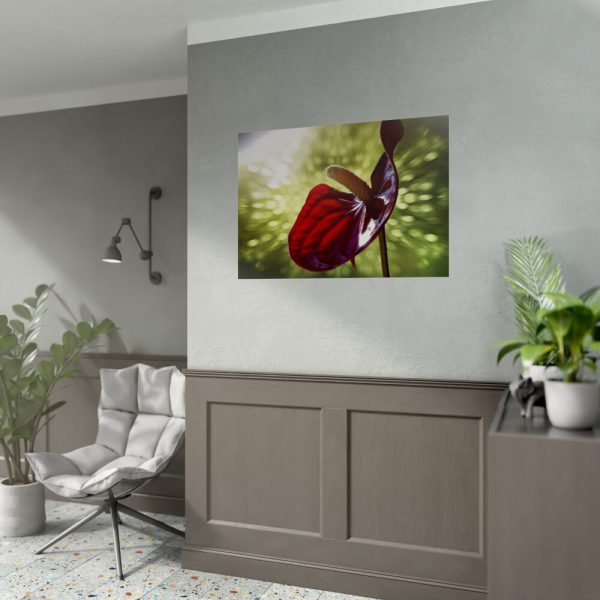 Red Lily Poster