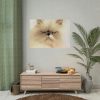 92409-140.jpg Angry Persian Cat Poster