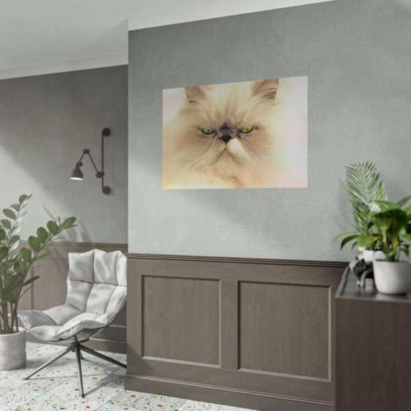 92409-141.jpg Angry Persian Cat Poster