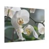 White Orchid Poster