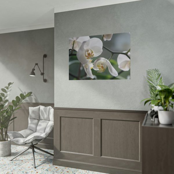 White Orchid Poster