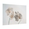 Beautiful White Orchid Poster