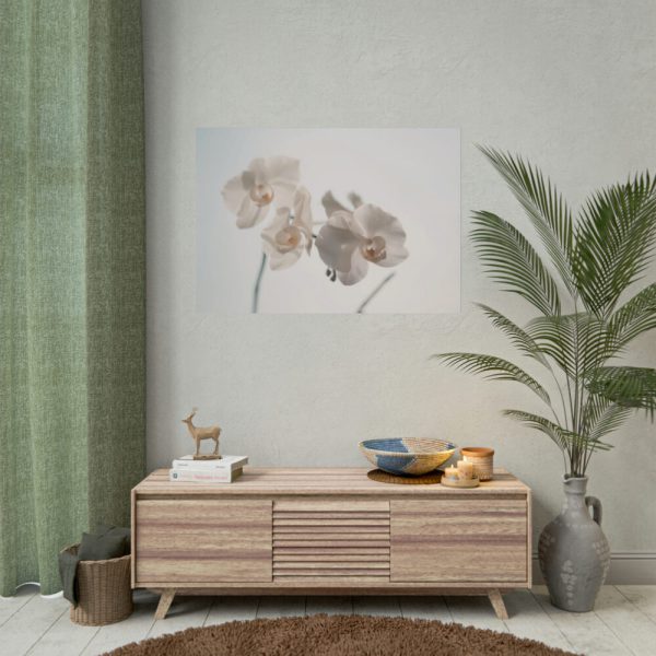 Beautiful White Orchid Poster