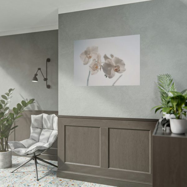 Beautiful White Orchid Poster