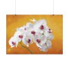 Orchid Plant Flower Poster