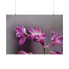 Macro Flower Plant Poster