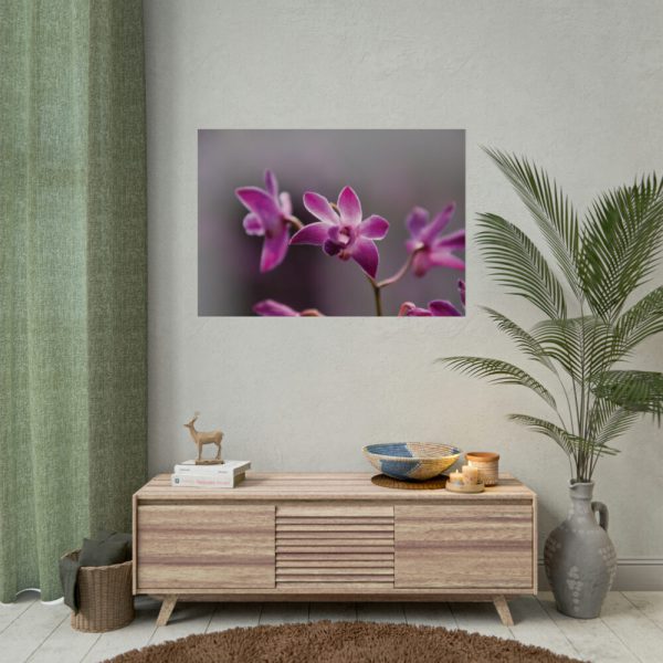 Macro Flower Plant Poster