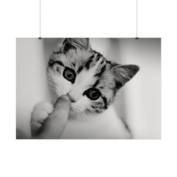 92409-168.jpg Kitten and Finger Poster