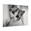 92409-169.jpg Kitten and Finger Poster