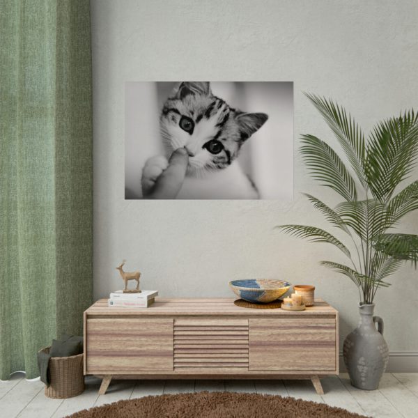 92409-170.jpg Kitten and Finger Poster