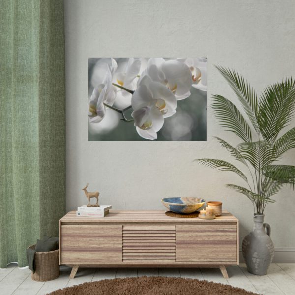 Orchids Elegant Poster