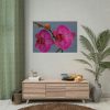 Pink Moth Orchid Poster