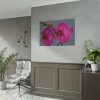 Pink Moth Orchid Poster