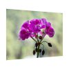 Colorful Flower Poster