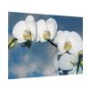 White Flower Poster