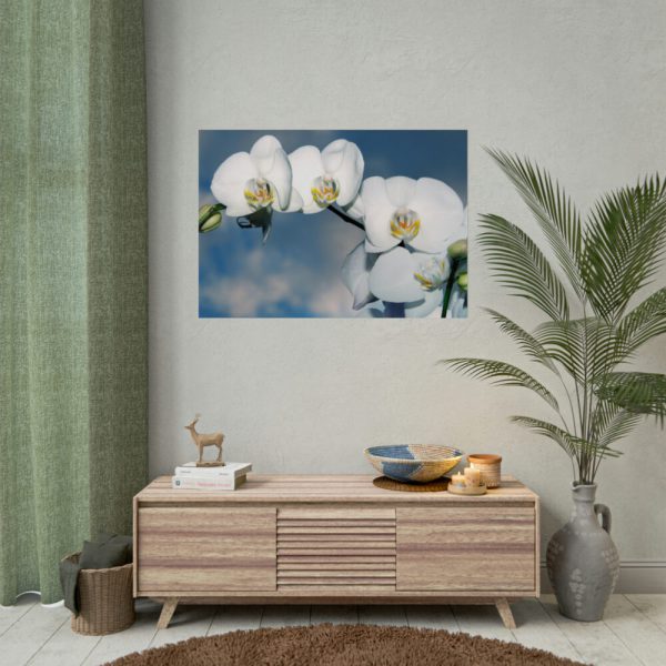 White Flower Poster