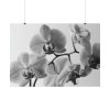 92409-203.jpg Orchid Meadow Poster