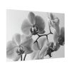 92409-204.jpg Orchid Meadow Poster