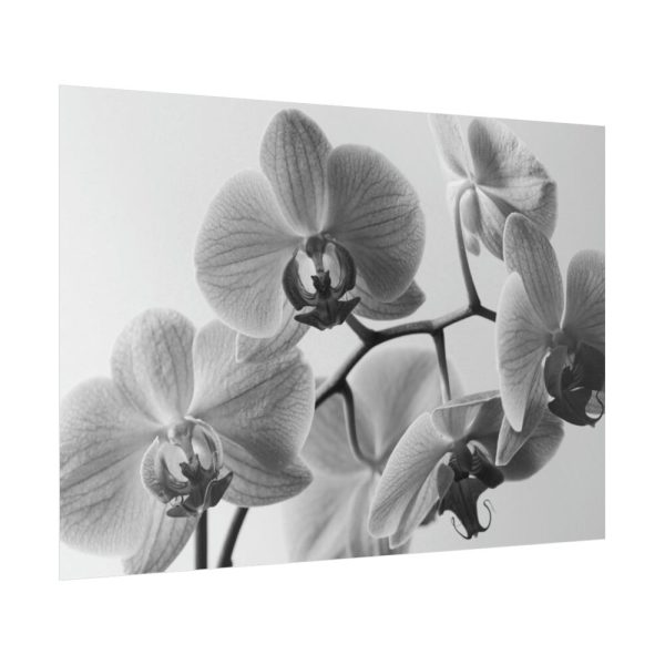 92409-204.jpg Orchid Meadow Poster