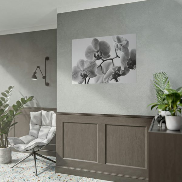 92409-206.jpg Orchid Meadow Poster