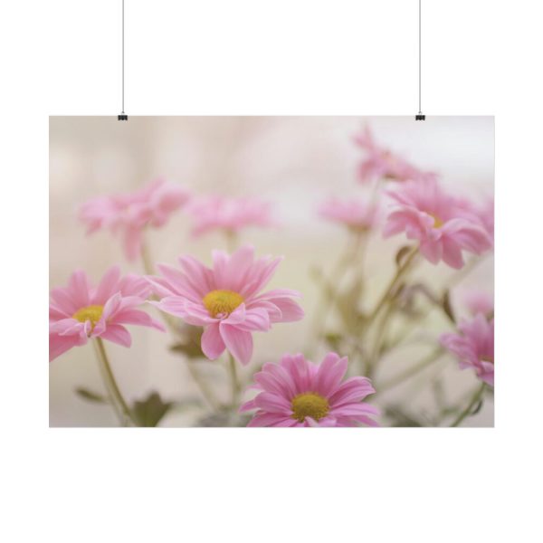 92409-218.jpg Blooming Pink Daisies Poster
