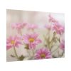92409-219.jpg Blooming Pink Daisies Poster