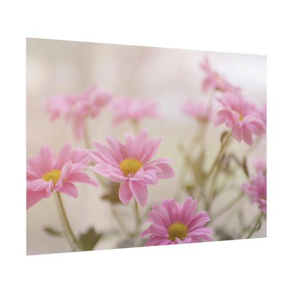 92409-219.jpg Blooming Pink Daisies Poster
