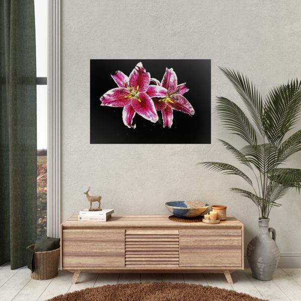 Tiger Lily Flower Poster