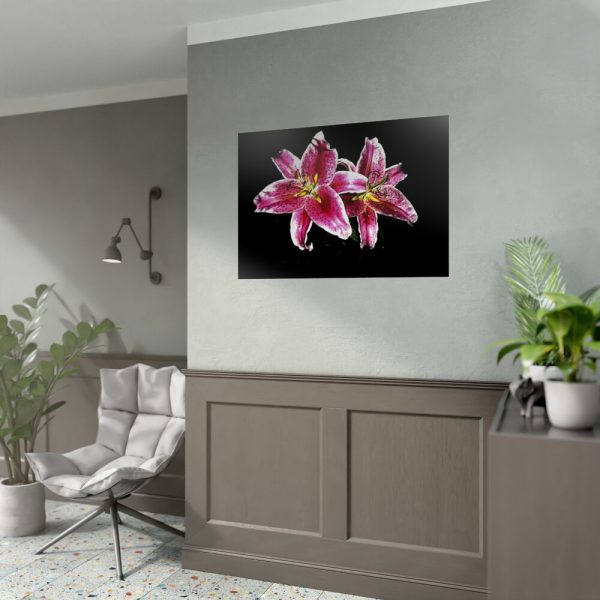 Tiger Lily Flower Poster