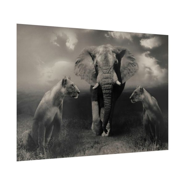 92409-239.jpg Big Elephant with Two Lion Poster
