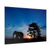 92409-244.jpg Elephant and Sunset Poster