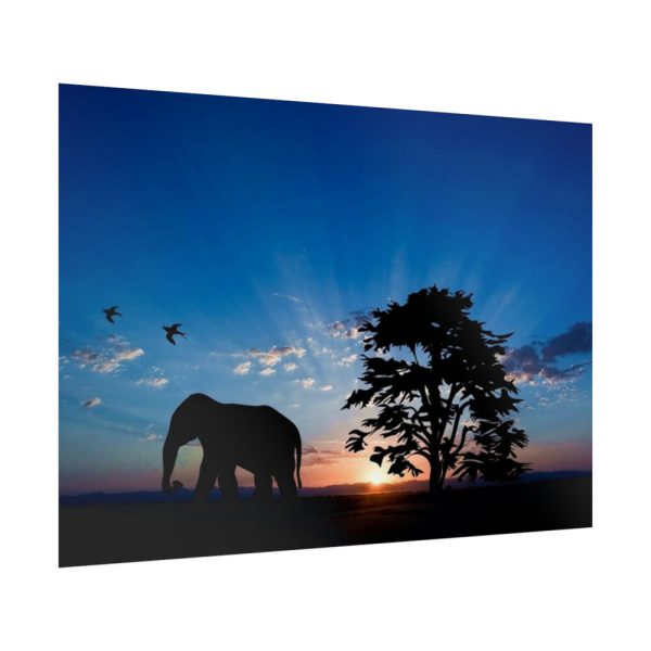 92409-244.jpg Elephant and Sunset Poster