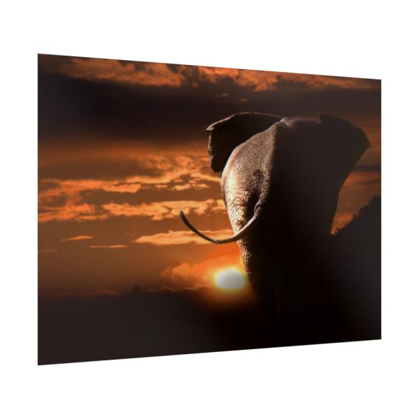 92409-254.jpg Elephant and Yellow Sky Poster