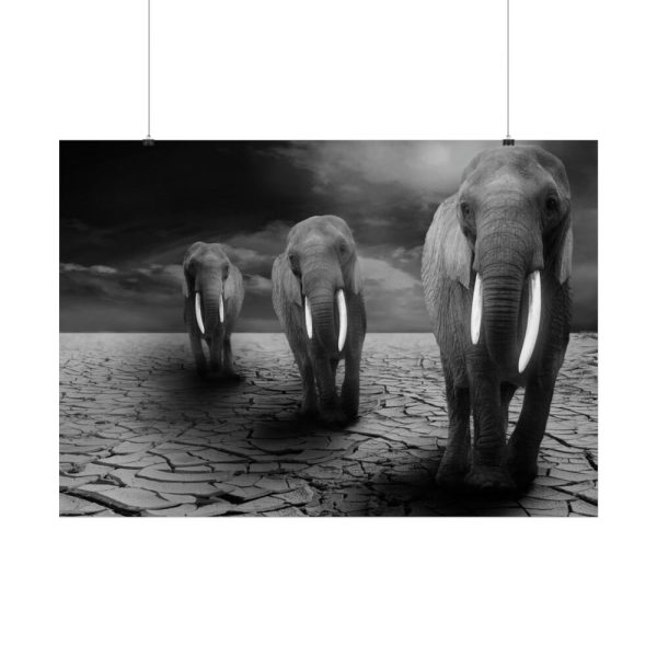 92409-258.jpg Elephants in Africa, Safari Poster