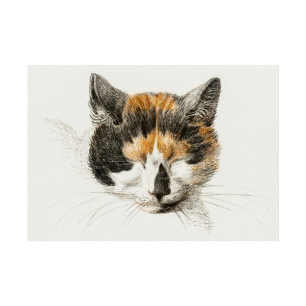 92409-267.jpg Head of a Calico Cat with Closed Eyes by Jean Bernard Poster