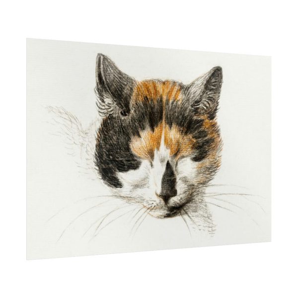 92409-269.jpg Head of a Calico Cat with Closed Eyes by Jean Bernard Poster